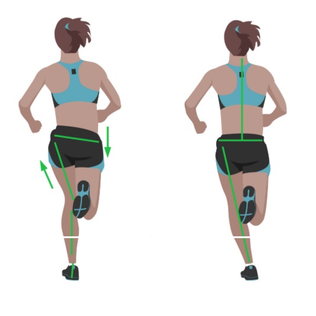 Diagram of glutes during running.
