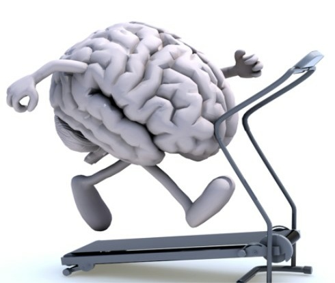 The brain on a treadmill